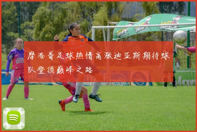 摩洛哥足球热情高涨迪亚斯期待球队登顶巅峰之路