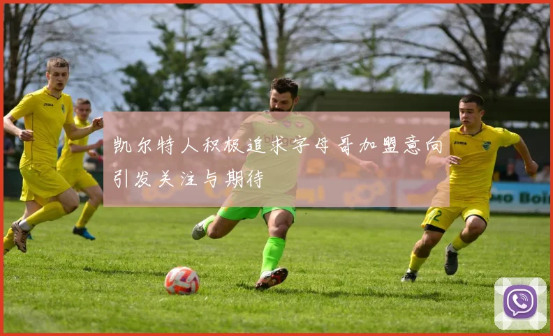 凯尔特人积极追求字母哥加盟意向引发关注与期待