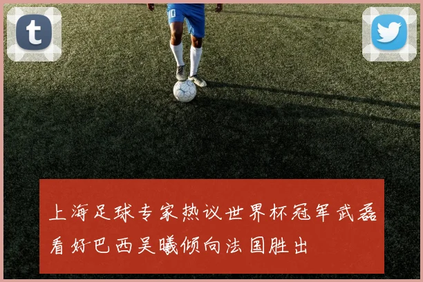 上海足球专家热议世界杯冠军武磊看好巴西吴曦倾向法国胜出